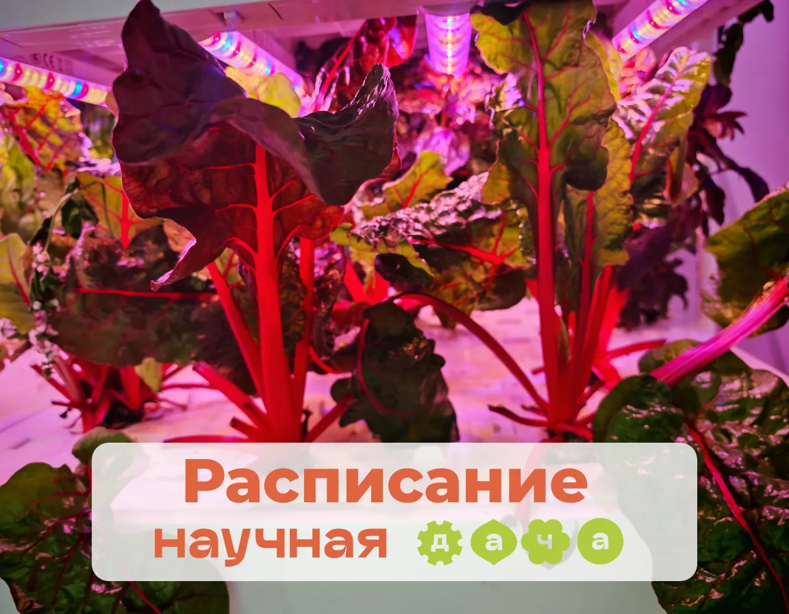 🟢Расписание🟢

12 июня 

11:00 — презентация летних занятий🌞

📍Познакомимся со школой и преподава