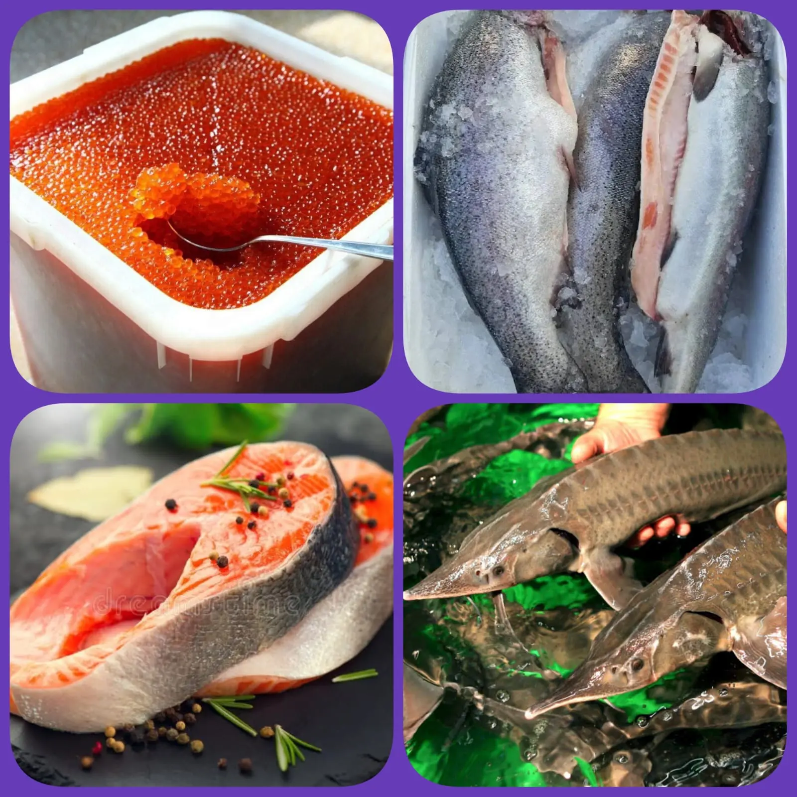 ДОБРОЕ УТРО, ФОРЕЛЬМАНЫ! 🎄🐟

К праздничным выходным сделали то, за что нас любят. В Четверг налови