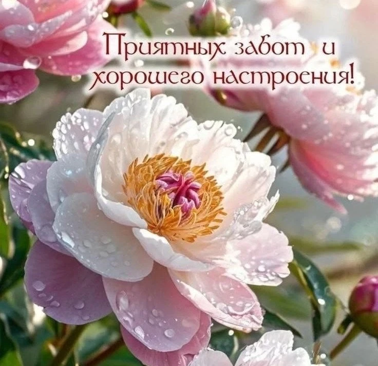 Открытки: подписаться ❤️