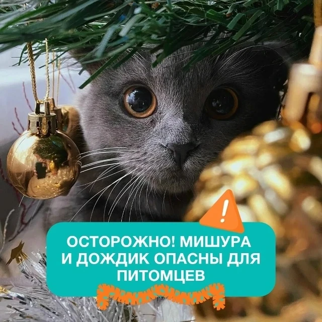 ОПАСНОСТЬ НОВОГО ГОДА №1

В новогодние праздники  традиционно увеличивается количество экстренных об