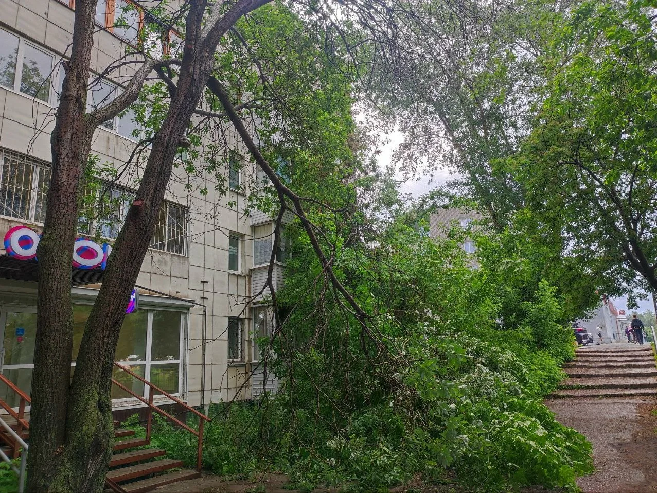 В Прикамье ожидается град и шквал до 28 метров в секунду, и скоро. 
 
МЧС предупреждает жителей края