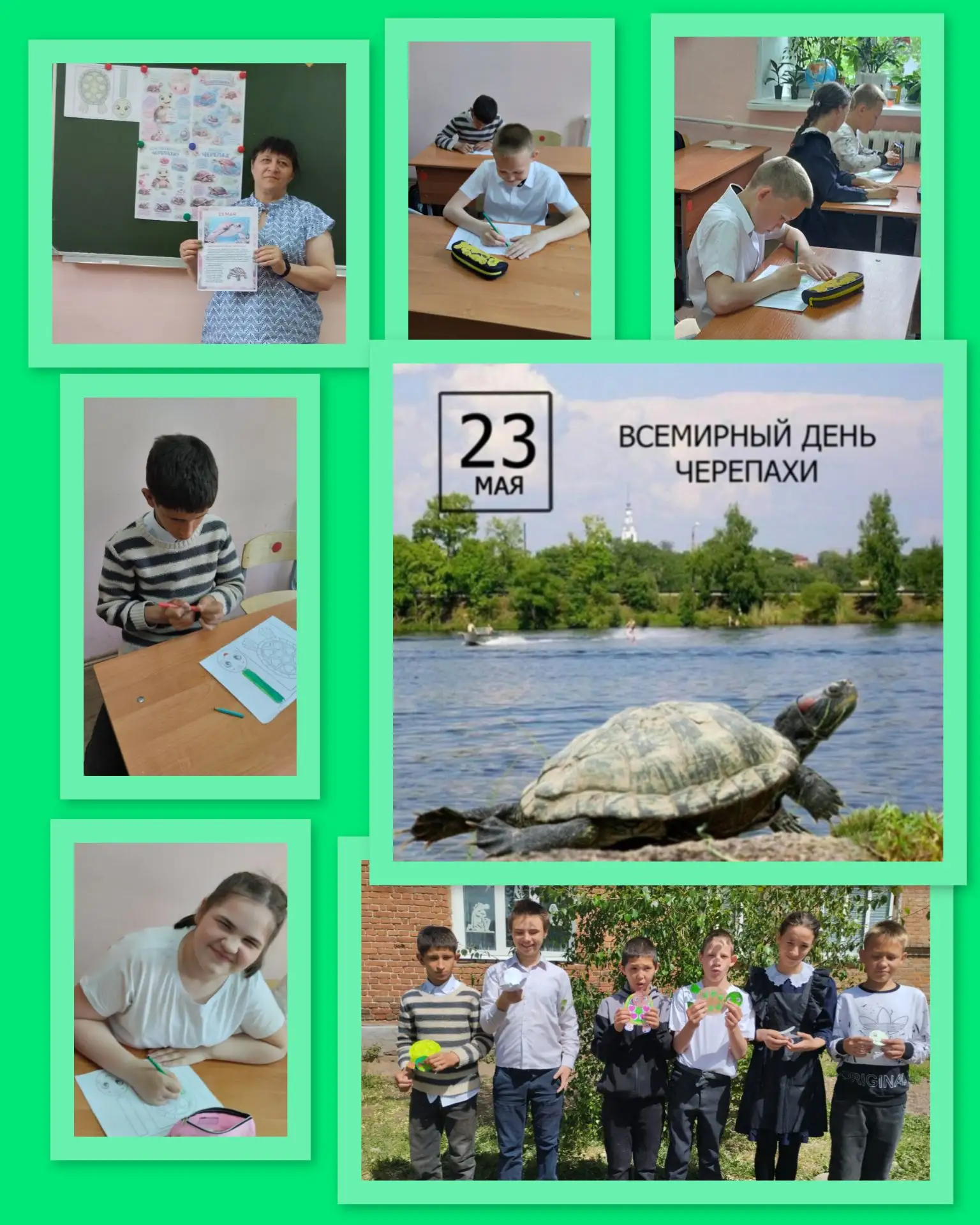 🐢 23 мая — Всемирный день черепахи! 🎉Эти удивительные животные живут на Земле уже 200 миллионов ле