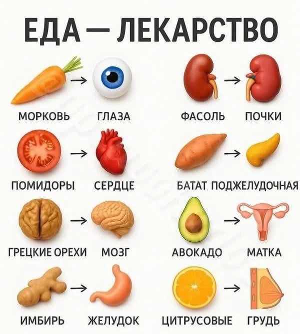 Еда – лекарство.

💡 Научный - Подписаться