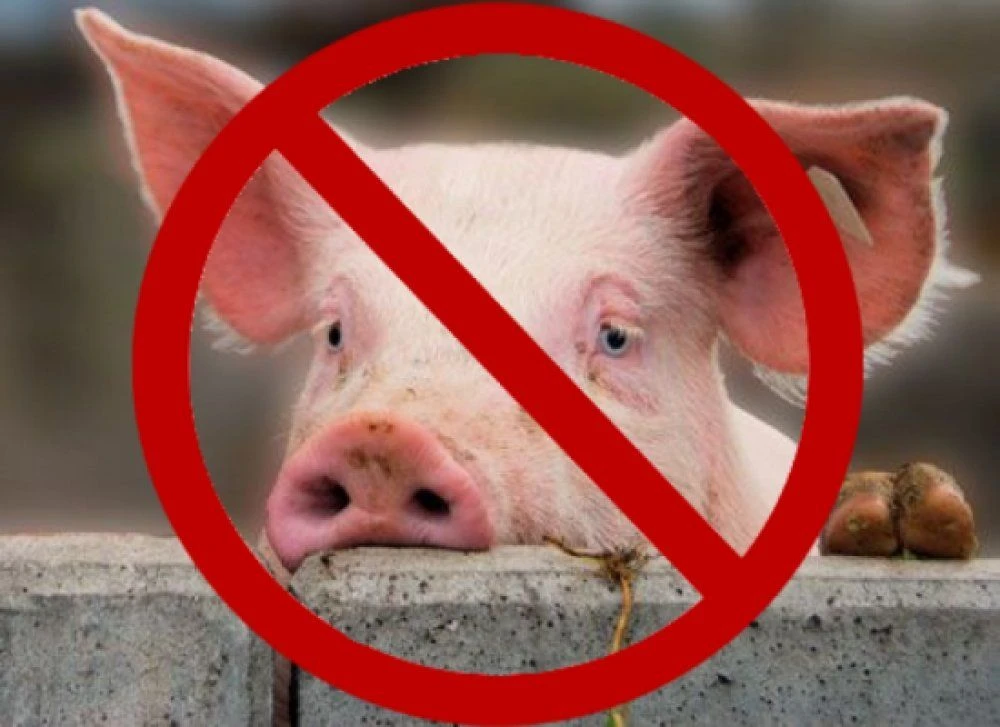 ‼ Внимание - Африканская чума свиней.

🐷 Африканская чума свиней – одна из молниеносно распространя