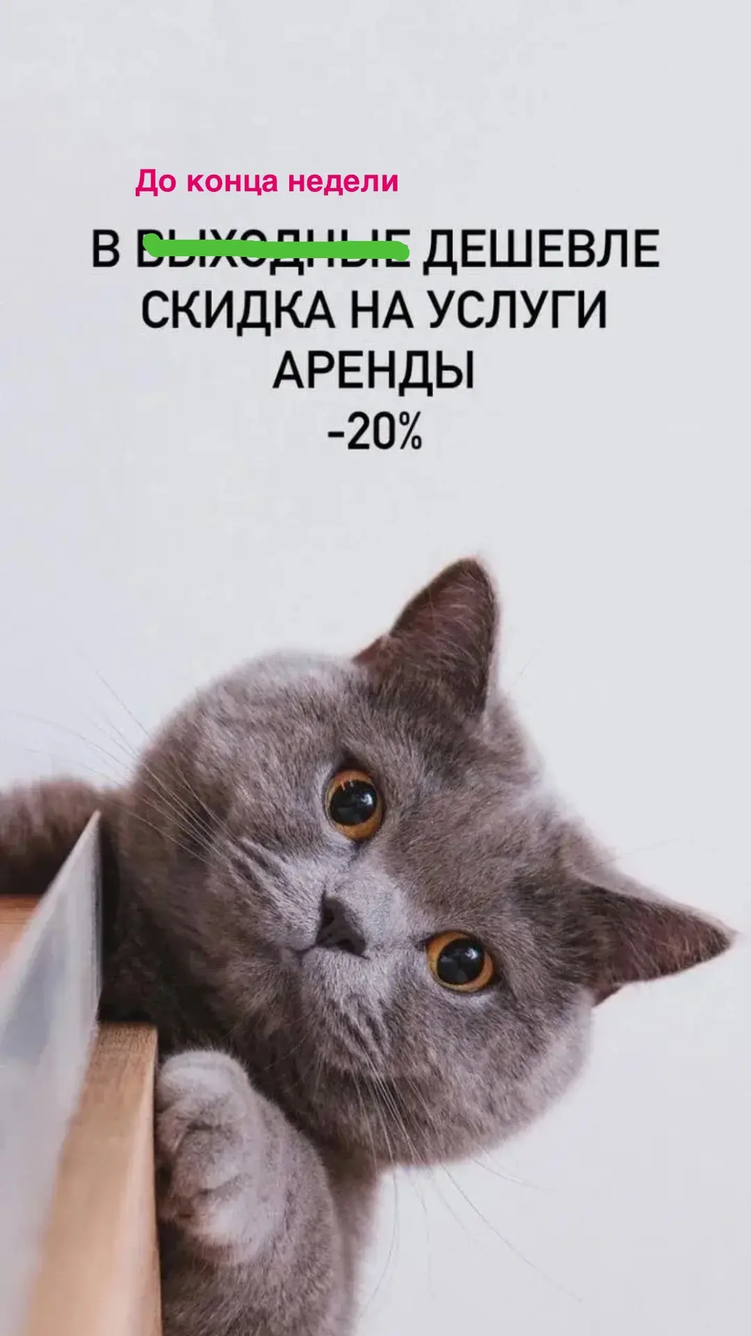 СРОЧНО: СКИДКА 20% НА АРЕНДУ 🔥

Искали квартиру мечты, но останавливала комиссия?
До конца недели м