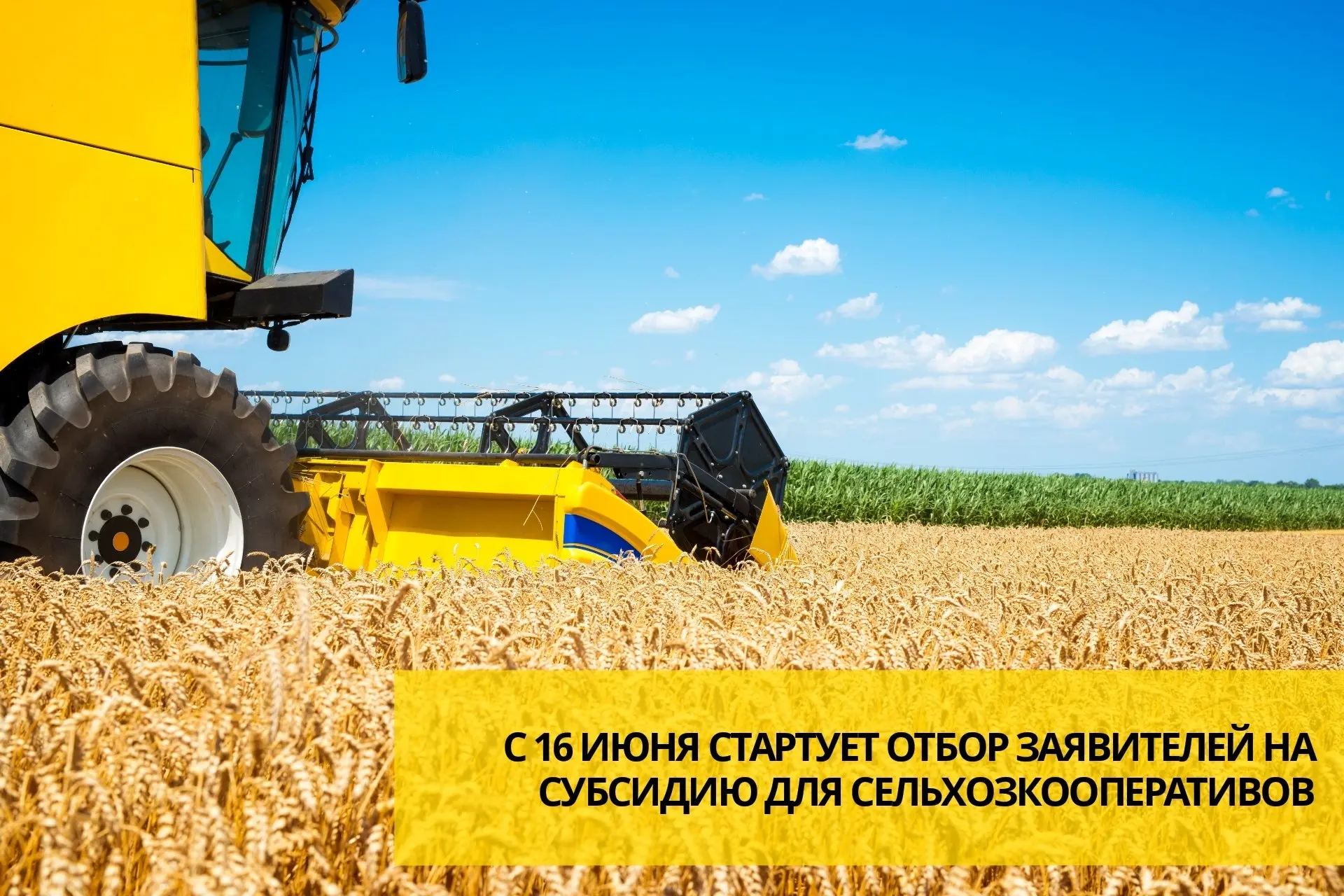 Министерство сельского хозяйства региона сообщает, что субсидия позволит компенсировать до 50% расхо