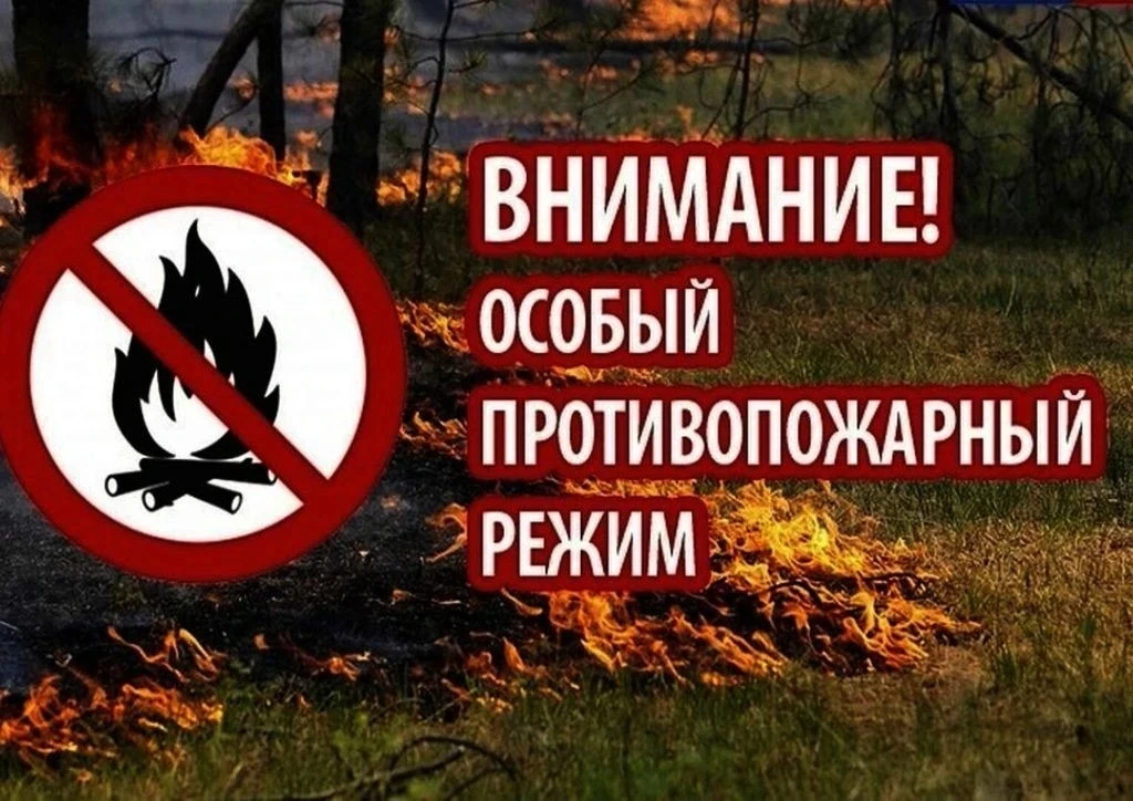 На территории Республики Башкортостан введен особый противопожарный режим.

Он будет действовать с 3
