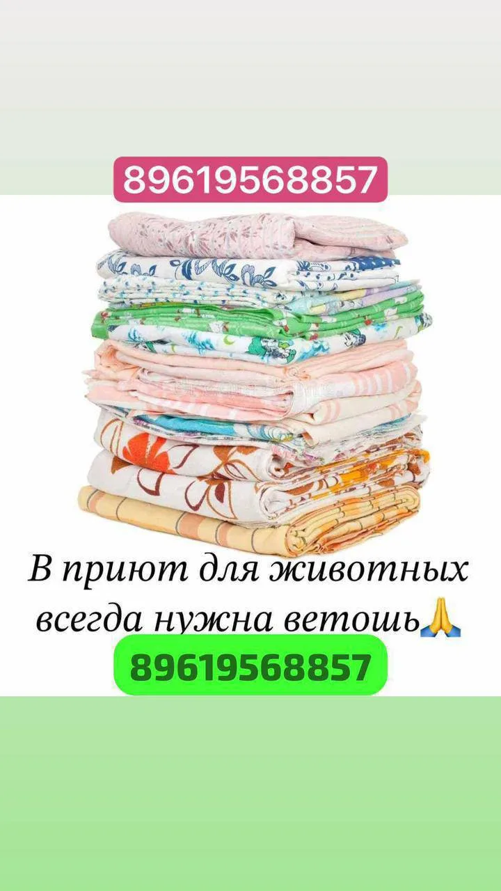 Центр реабилитации и помощи животным «Гамаюн» всегда принимают от горожан ветошь.

Еще больше новост