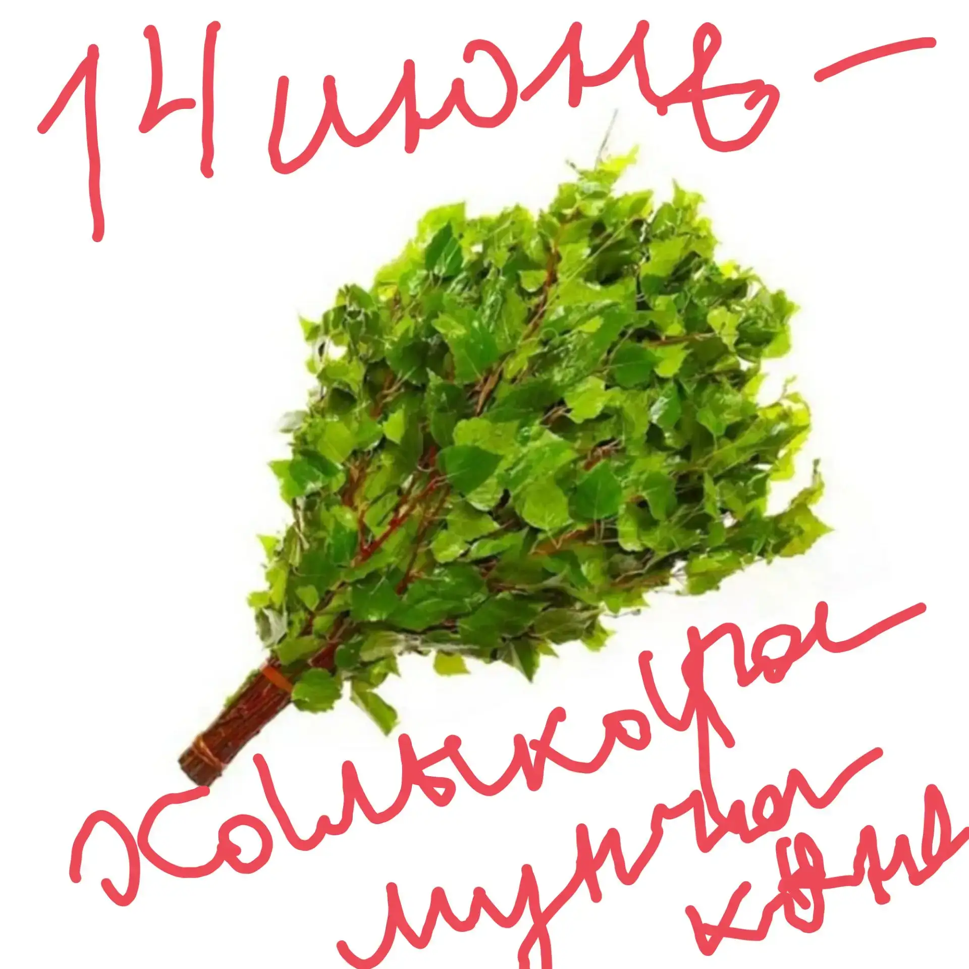 Халыкара мунча көне-бөтен дөнья буйлап парны һәм сәламәт яшәү рәвешен яратучыларны берләштерүче бәйр