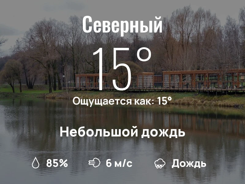 Что с погодой в Северном?

Одевайтесь по погоде, берегите себя!
Самого яркого дня, соседи!

#погодан
