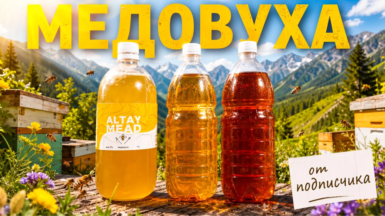 🍯 Нам прислали медовуху… и мы её честно продегустировали!
Подписчик Сергей из Бийска отправил нам с