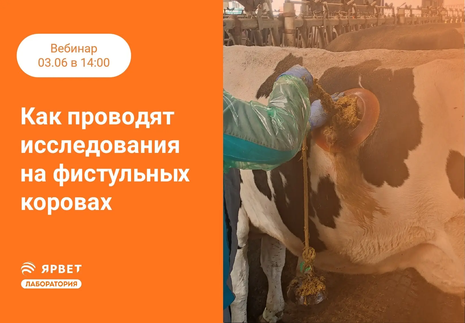 ⭐️ Вебинар уже завтра! 

Зарегистрируйтесь и подключайтесь завтра в 14:00, чтобы: 

•  Узнать о жизн