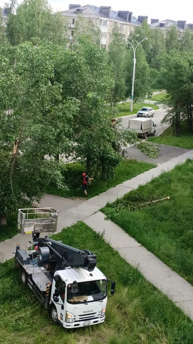 Результат от урагана убран.