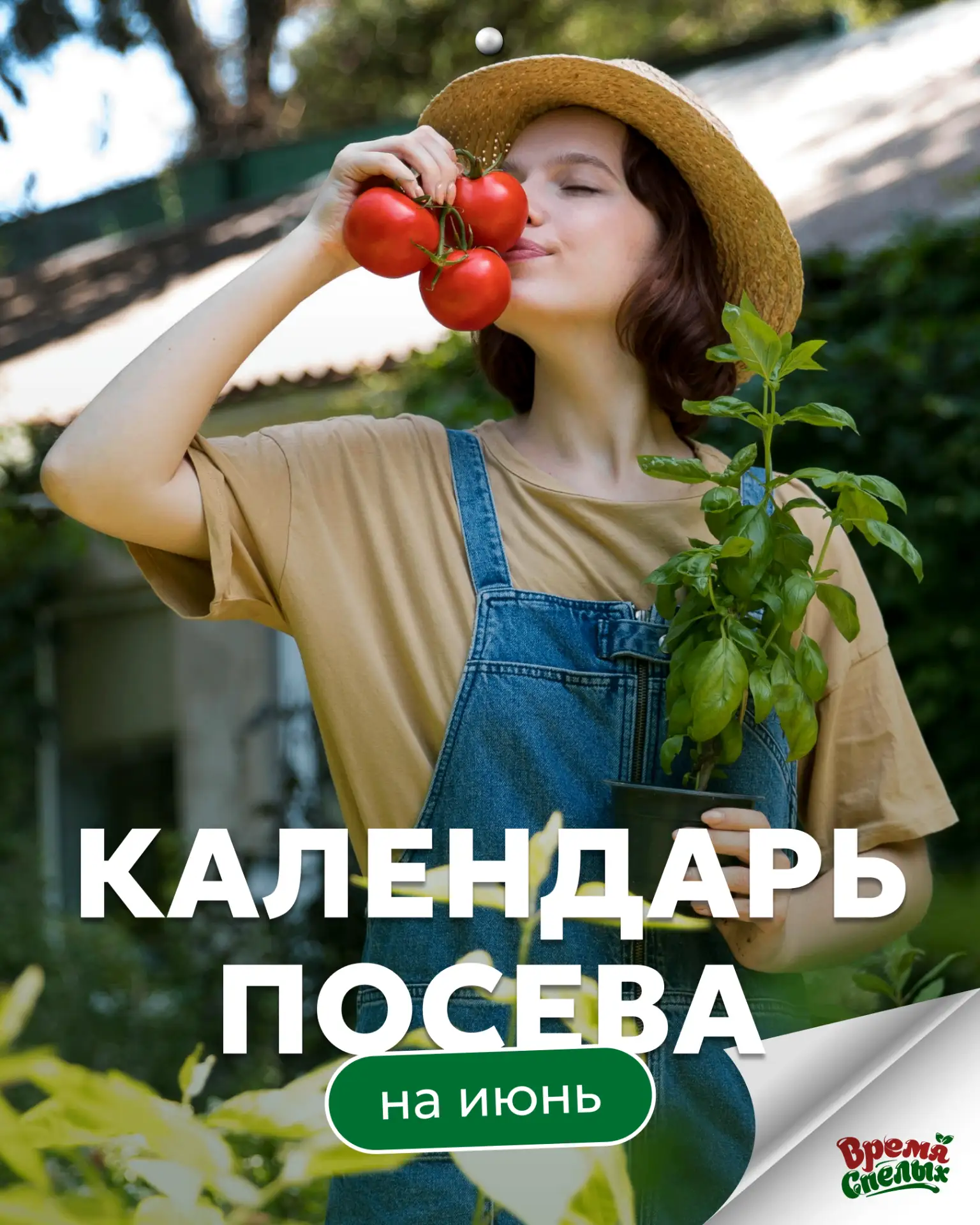 Календарь посева на июнь 🍀  
 
Июнь — месяц активной высадки рассады и ухода за посадками. День дли