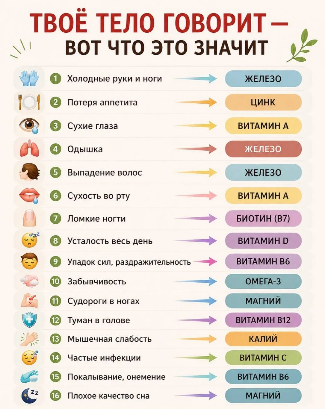 Твоё тело подскажет.

Подорожник | Здоровье