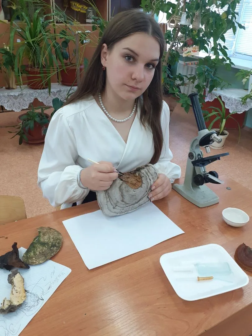 Всероссийский юниорский лесной конкурс «Подрост».

Всероссийский юниорский лесной конкурс «Подрост» 