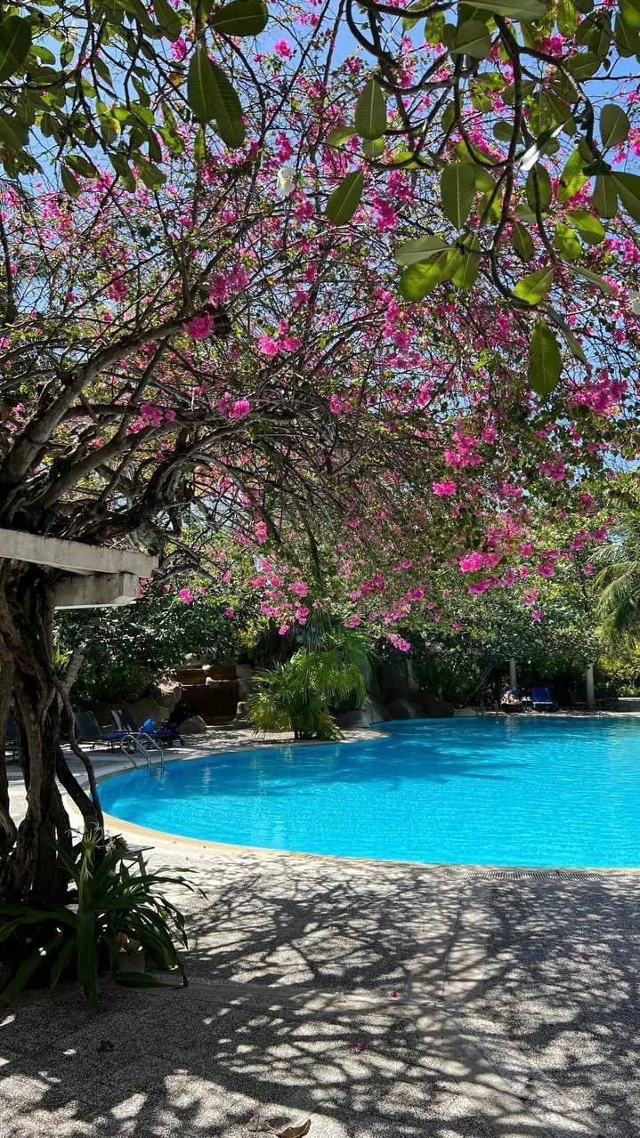 Райские острова для первого отдыха на Мальдивах!

📍 Kuramathi Island Resort 4*

🌠 Пляжи с белым пе