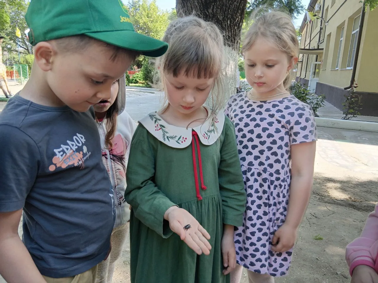 У нас тут целая «насекомья» неделя прошла! 🐞🐜🦋🐝

Старшая группа Непоседы неделю
 изучала насеком