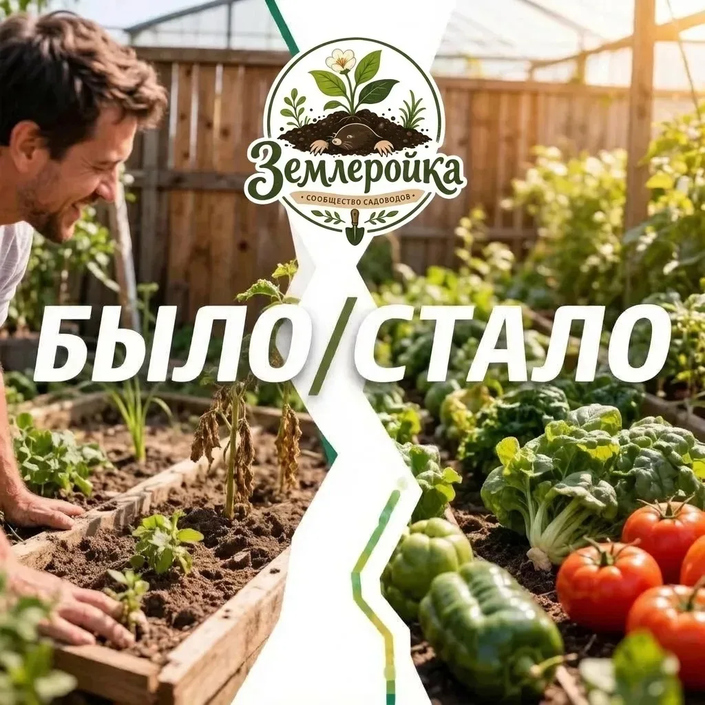 Землеройка — это не только юркий зверёк 🐭, но и крутой канал для тех, кто хочет превратить свои 6 с