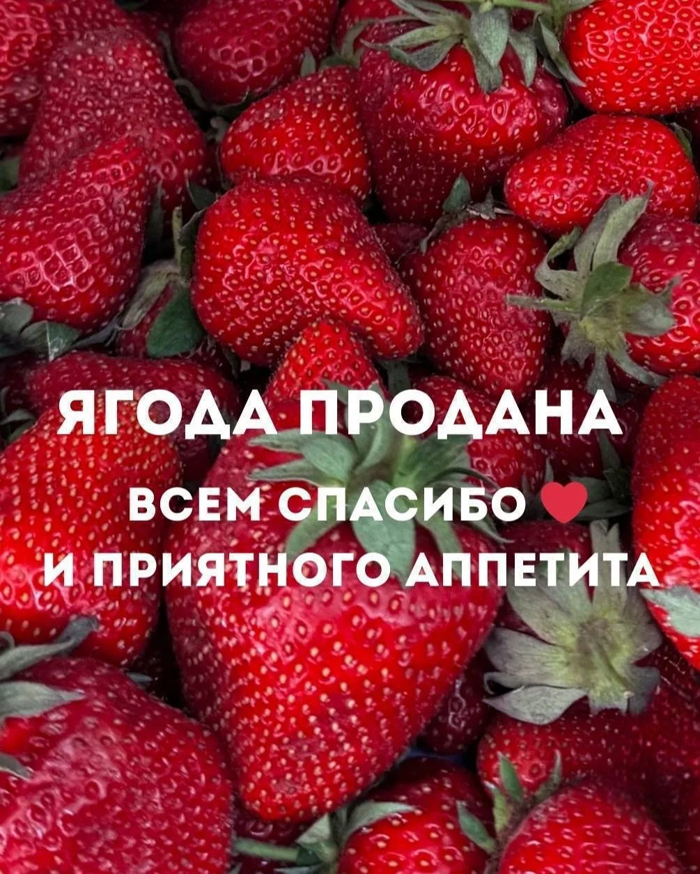 ЯГОДА ПРОДАНА ❤️‍🔥

О следующей поставке сообщим позже🥰🥰