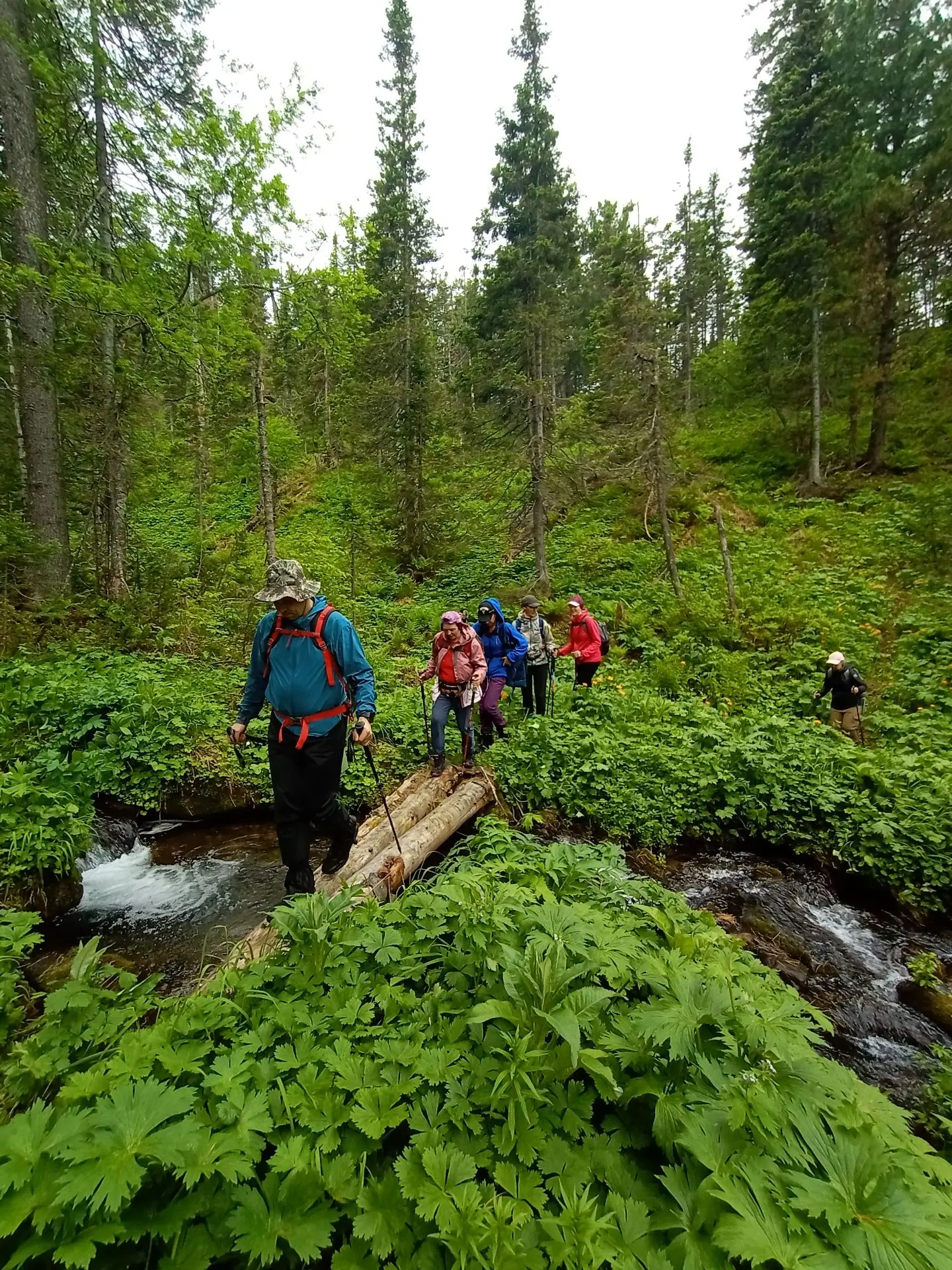 Это еще немного фотографий, которые у меня остались после разведки на гору Травянистая.
 
Если все п