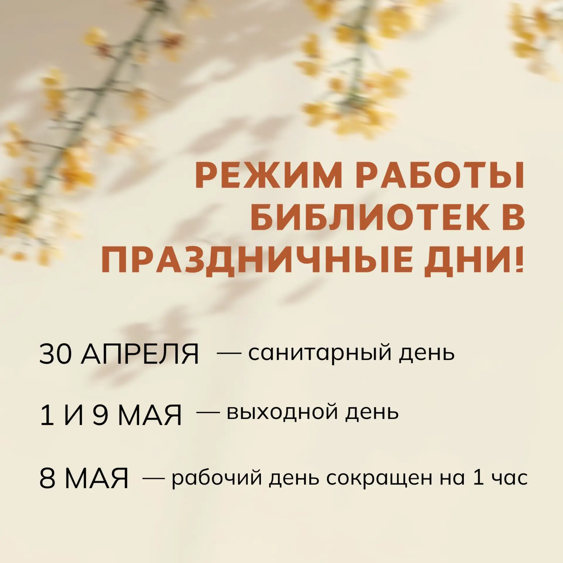 🍃Майские праздники – отличное время, чтобы отдохнуть и почитать на свежем воздухе!

Все библиотеки 