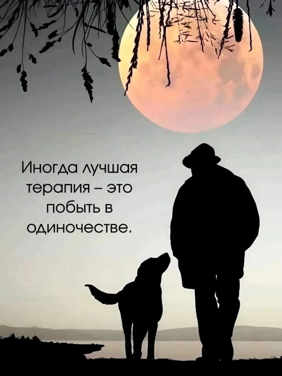 Иногда так хочется одиночества... Но в меру. Хорошо конечно хотеть одиночества, когда знаешь, что за