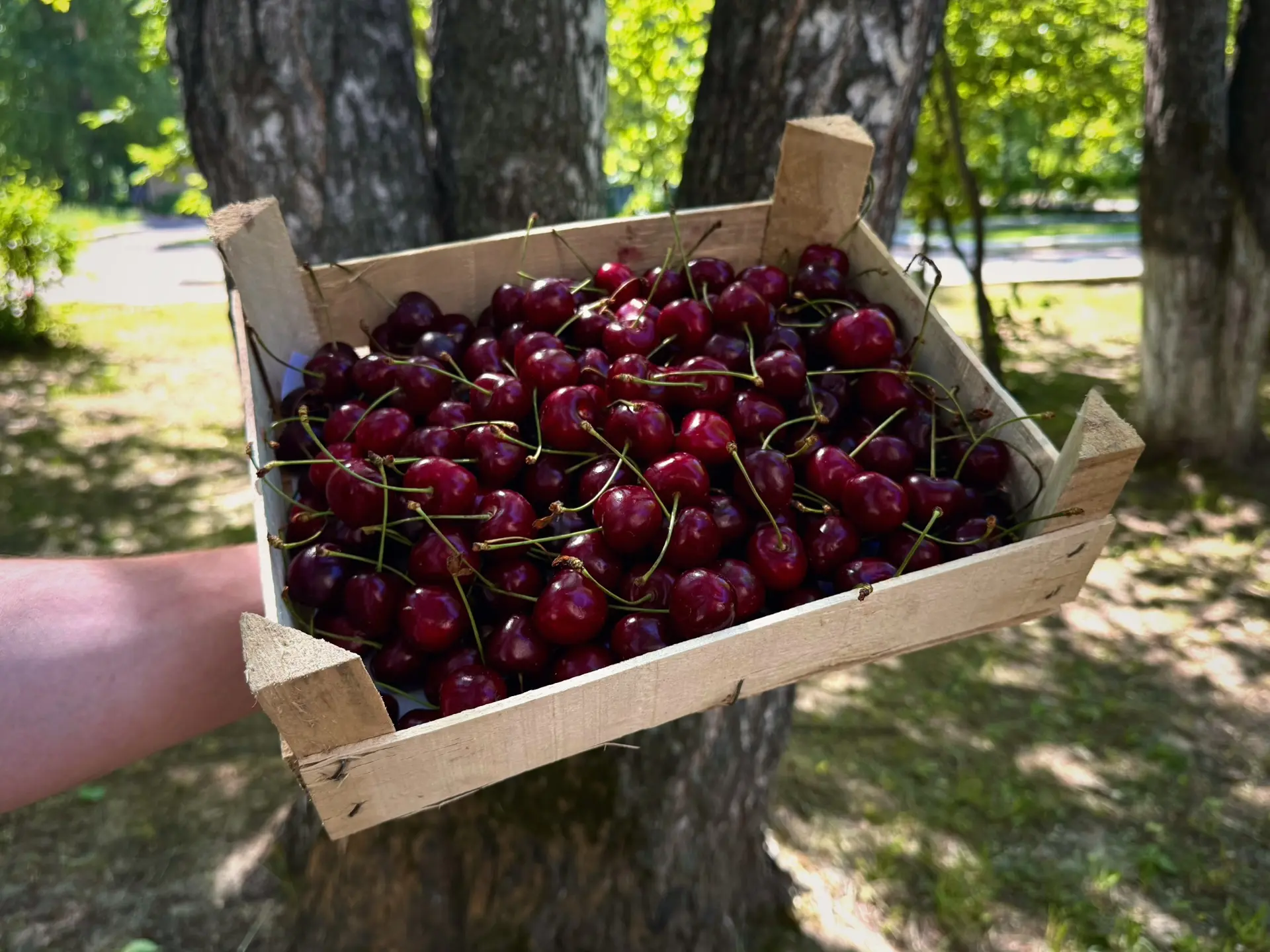 Вкус, который не отпускает…🍒
Любимые наборы фруктов и ягод - заказывай прямо сейчас!

В НАЛИЧИИ:

•