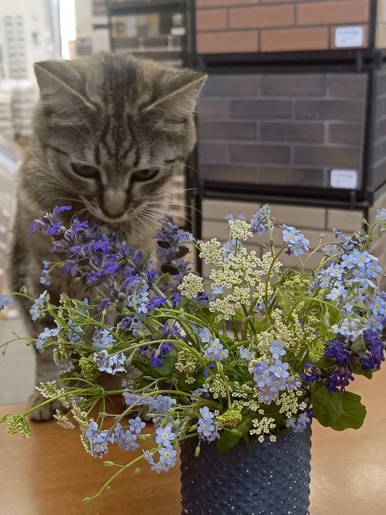 - Это мне?
- Тебе!
- А за что?
- Просто так! 💐