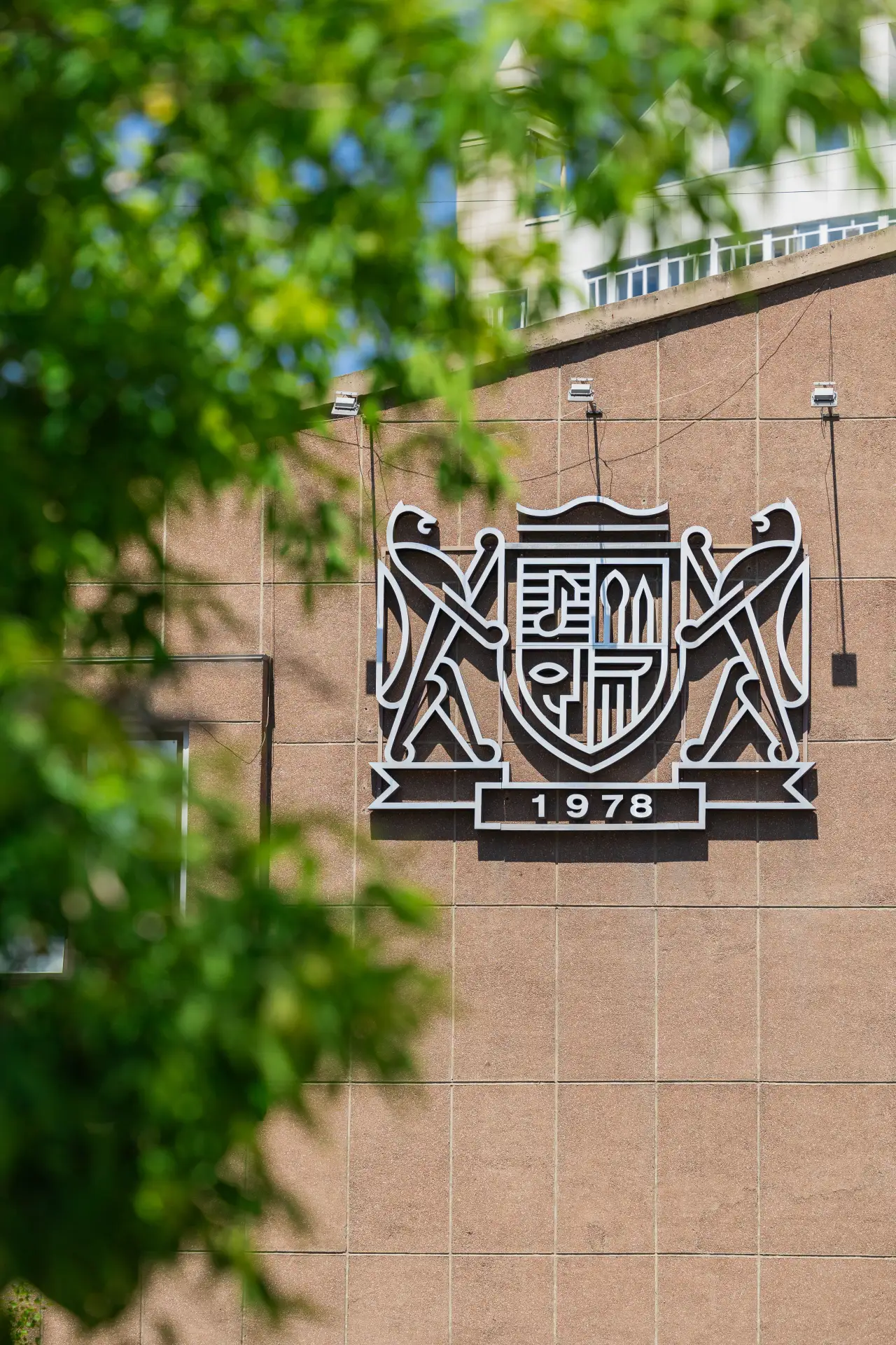 Любуемся летней атмосферой вокруг института искусств ☀