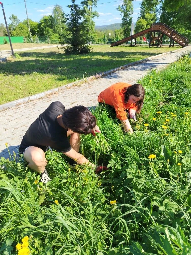 🛠 Молодежь в деле: трудовой десант в нашей школе!

Благодаря совместному проекту Центра занятости н
