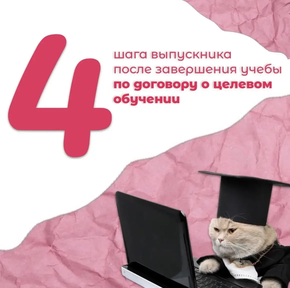 Выпускаешься в 2026 году и учишься по целевому договору? 🎓

Скорее листай карточки — собрали для те
