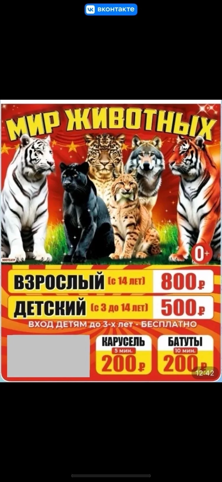 🐅✨Впервые в Зверево: Встречайте Царей Джунглей и других диких животных! ✨🐅

С 25-ого июля по 3-е