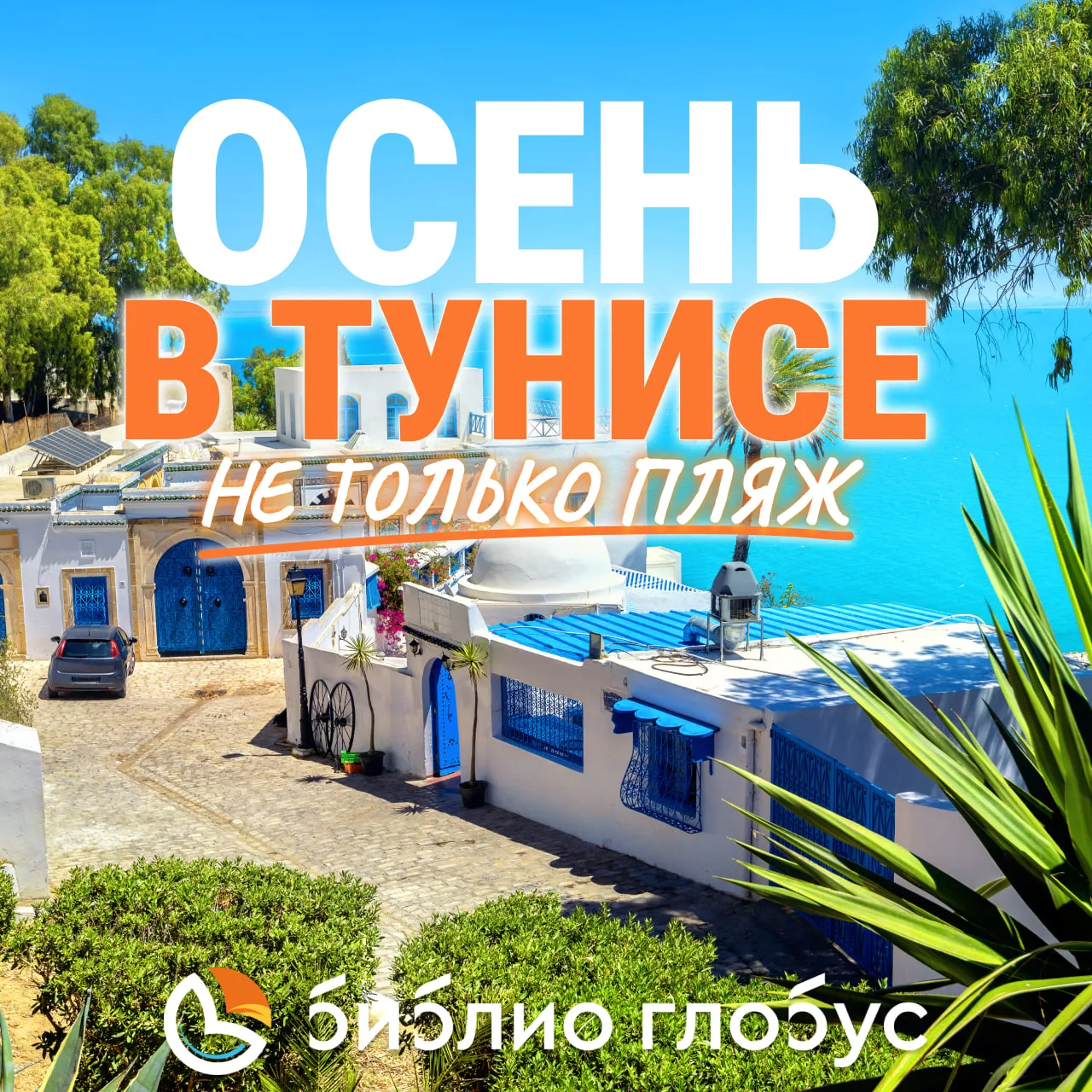 🇹🇳 Тунис — не просто пляжный отдых! ✨

🏟 За один день здесь можно искупаться в Средиземном море и