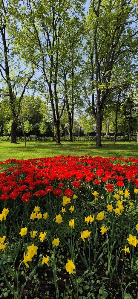Как прекрасен, как благоухает наш Петергоф в утренние часы♥️♥️♥️