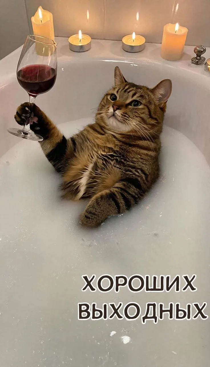 Друзья, на канале появилось много рекламных постов 😅 Без паники! Тестирую новые сервисы, на постоян