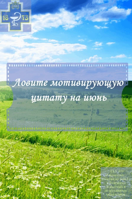 Ловите мотивирующую цитату 
Делай скрин и делись в комментариях
