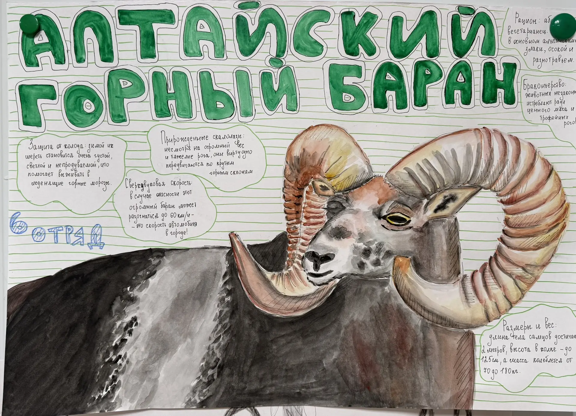 #ШКОЛА_171 | #ЛАГЕРЬ_171

С 1 по 6 июня в нашем школьном лагере дневного пребывания прошла «Неделя э