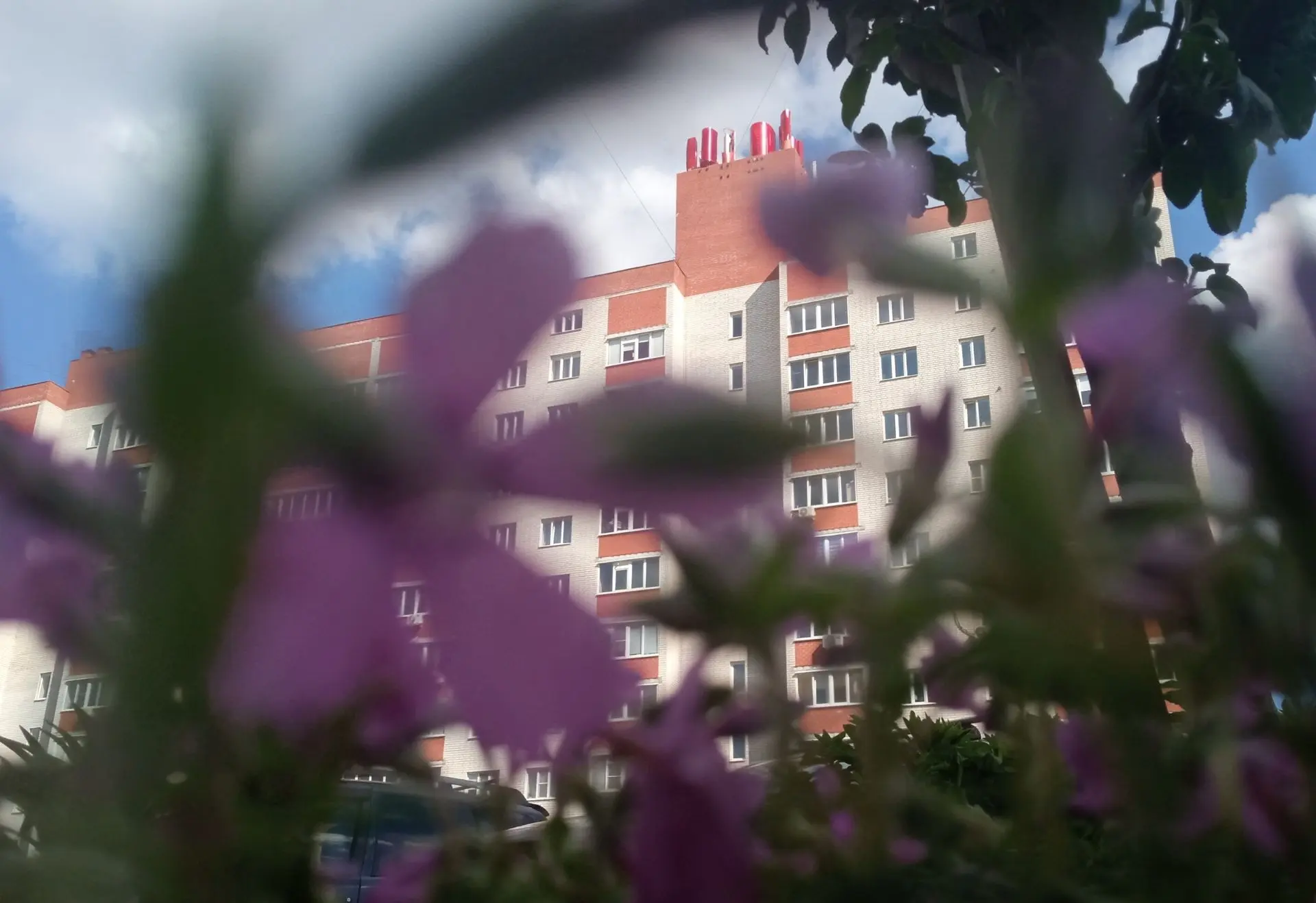 🌸Друзья, как же преображается двор, когда за дело берутся увлечённые люди! Смотрим на клумбы у домо