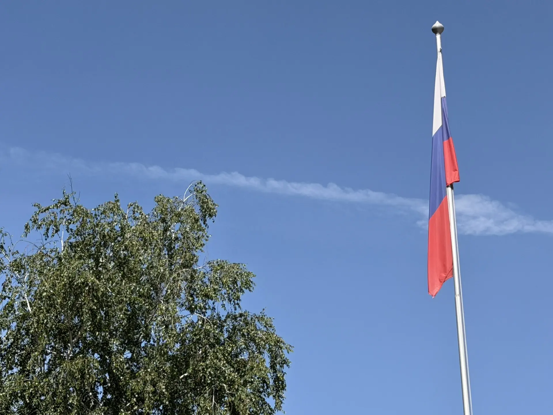 🇷🇺 С Днём России, школа!

Сегодня мы славим нашу великую страну — самую красивую, сильную и родную
