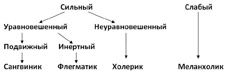 ⭐️ Типы высшей нервной деятельности

Формирование типов высшей нервной деятельности зависит от силы 