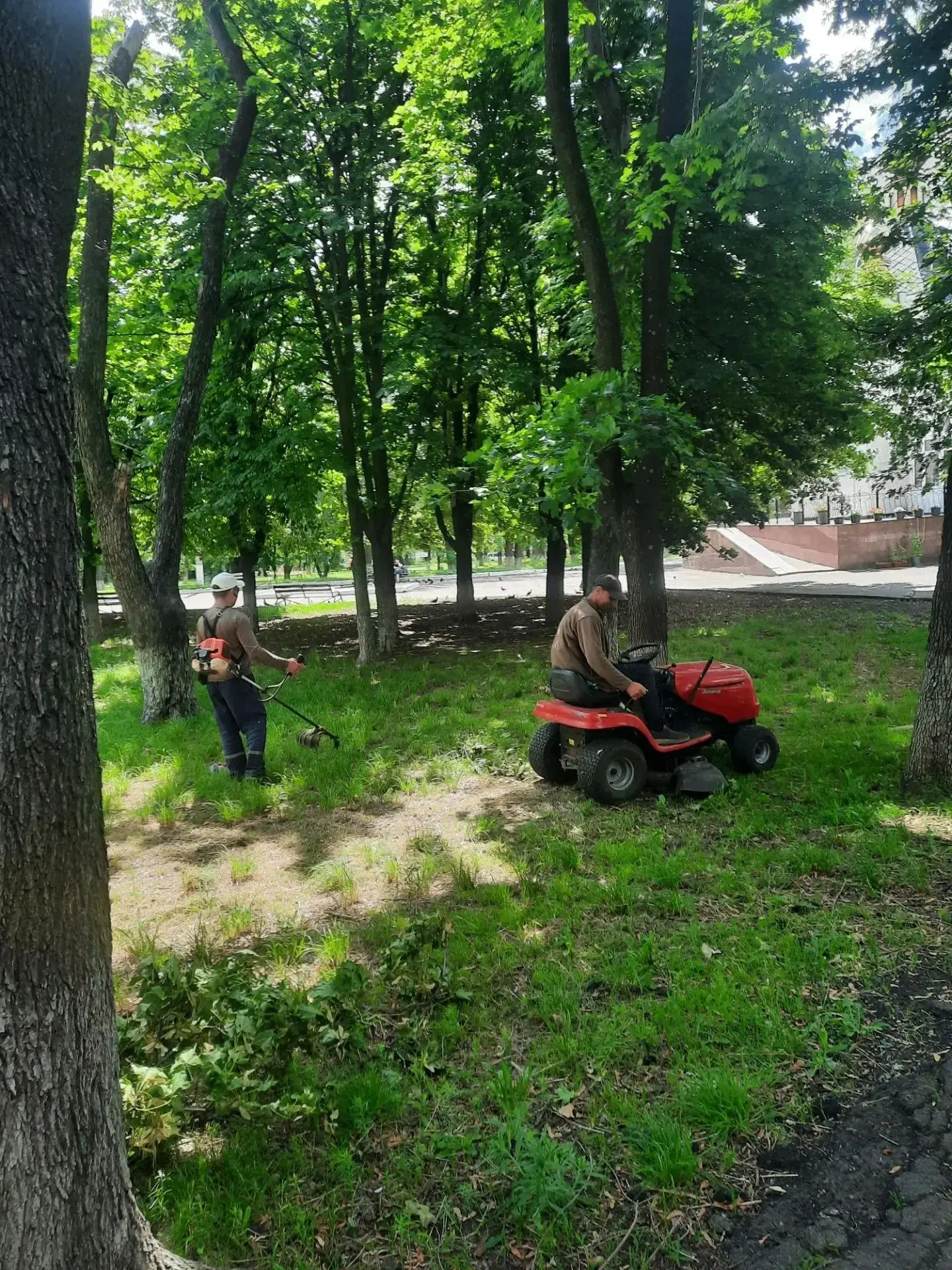 Борьба с сорной растительностью в городском округе ведётся ежедневно на разных территориях с целью м