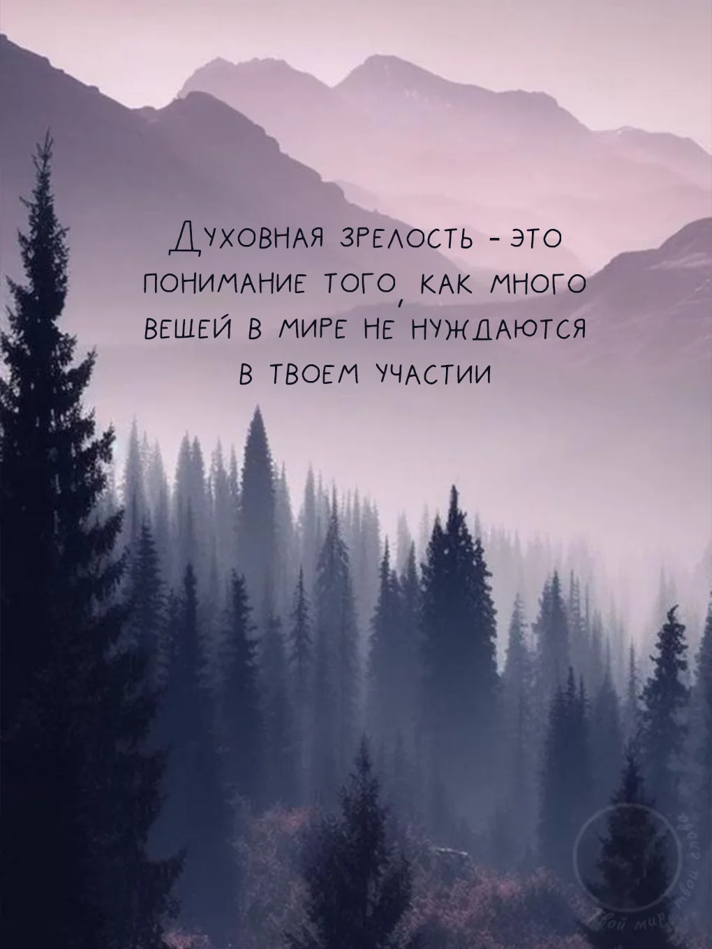 Твой мир, твои слова