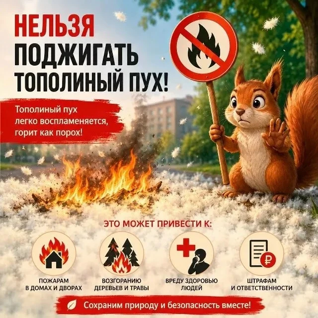 💭Тополиный пух может стать причиной возникновения пожара, поскольку он легко воспламеняется и горит
