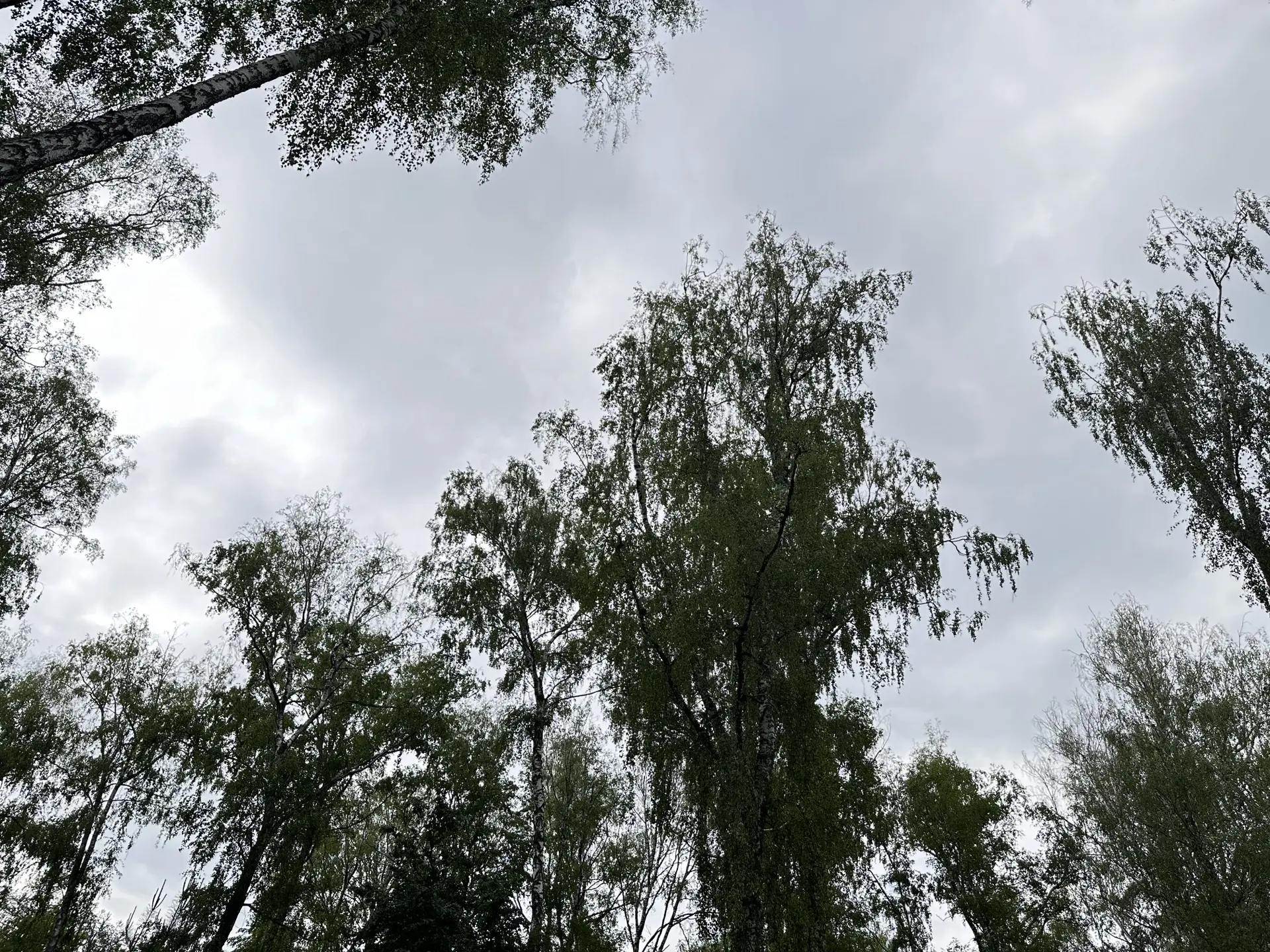 ❗️В Тульской области завершается июль весьма переменчивой погодой. Об это сообщил ведущий специалист