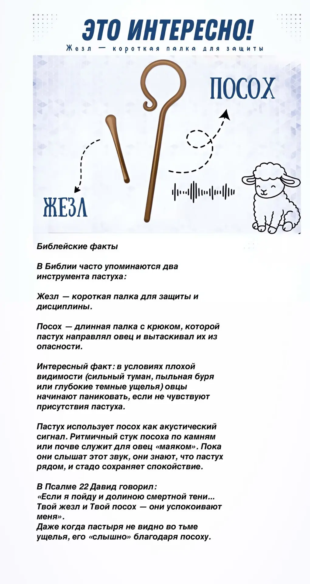 🤔А вы знали этот факт?

Взято у канала «Библейские факты»🫶🏻