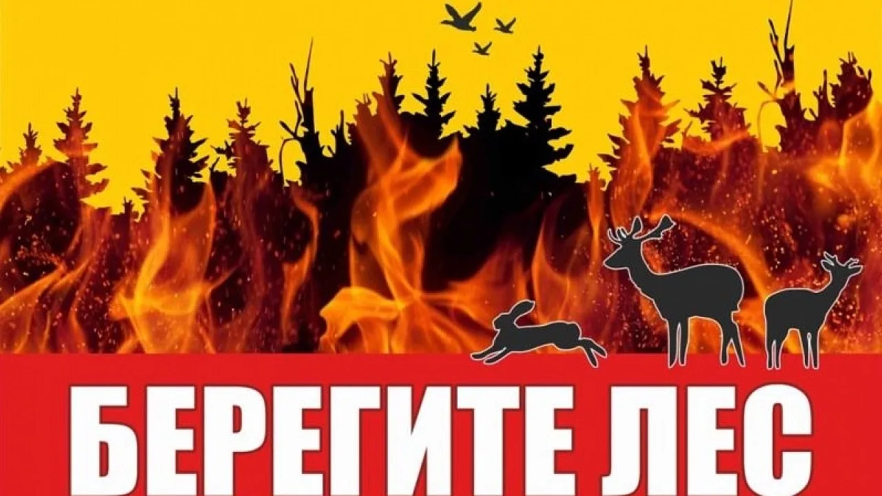 С 12 мая по 22 мая 2026 года в образовательных организациях Волосовского района Ленинградской област