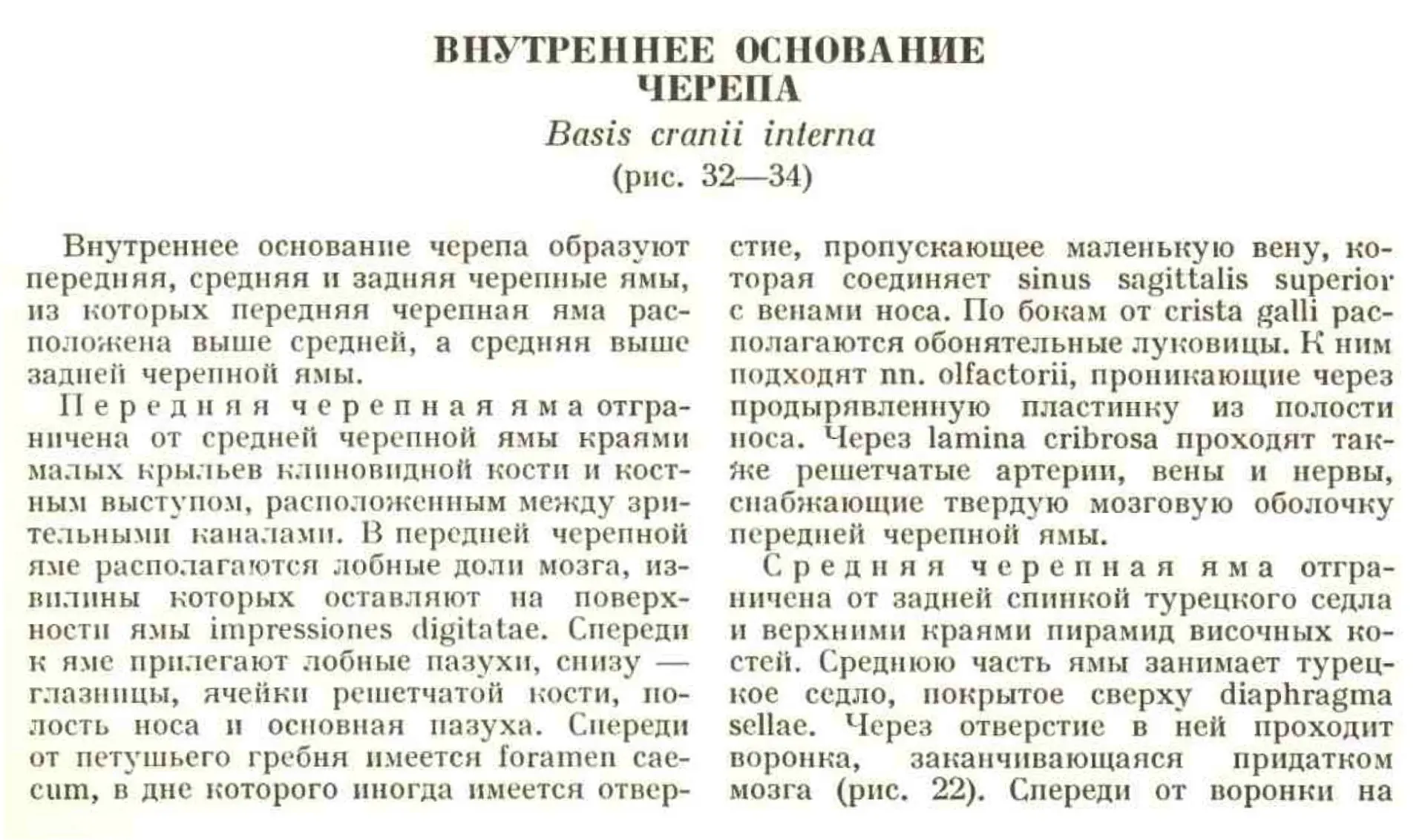 Внутреннее основание черепа