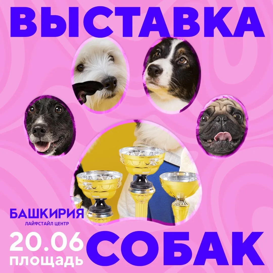 20 июня, 10:00-13:00 😃 площадь ЛСЦ Башкирия

Выставка собак 

Приглашаем на масштабную выставку соб