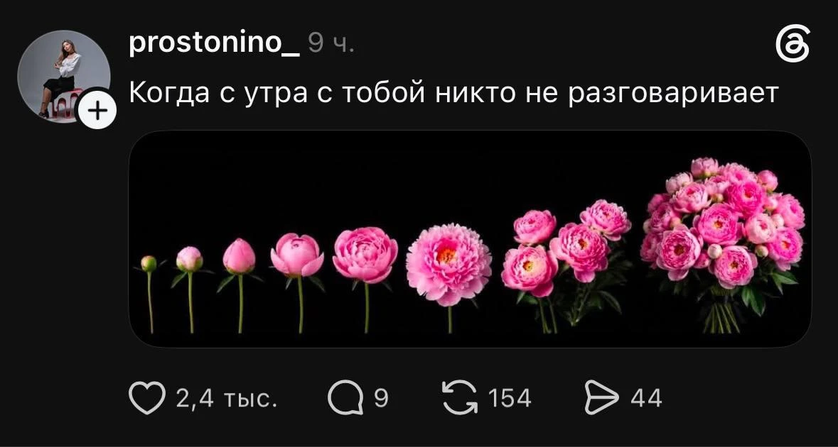 Да и вечером иной раз тоже 😂

Московская барыня. Подписаться